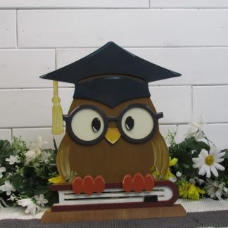 Graduation Owl Wood Craft Kit